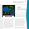 Brock Biology of Microorganisms