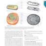 Brock Biology of Microorganisms