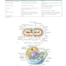 Textbook of Diagnostic Microbiology 7th Edition