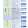Corrective Exercise Training