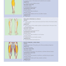 Corrective Exercise Training