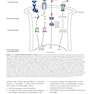 Stahl’s Essential Psychopharmacology, 4th Edition2013 روانپزشکی ضروری