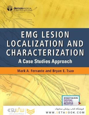 EMG Lesion Localization and Characterization: A Case Studies Approach