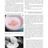 Basic Open Rhinoplasty : Principles and Practical Steps for Surgeons in Training