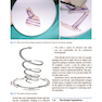 Basic Open Rhinoplasty : Principles and Practical Steps for Surgeons in Training
