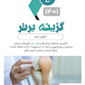 گزینه برتر ارتوپدی 1402