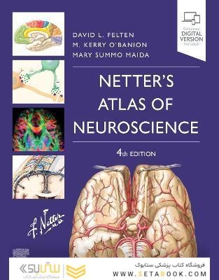 Netter’s Atlas of Neuroscience