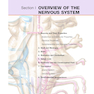 Netter’s Atlas of Neuroscience
