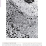 Netter’s Atlas of Neuroscience