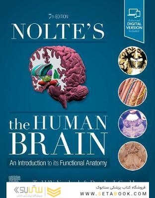 Nolte