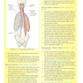 Grant’s Dissector, 16th edition2016