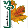 رویکرد درک مطلب اگزما