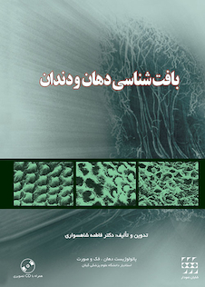 عکس بافت شناسی دهان و دندان