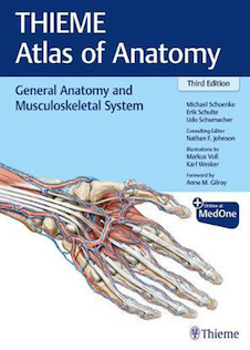 عکس General Anatomy and Musculoskeletal System (THIEME Atlas of Anatomy) 3rd Edition 2020