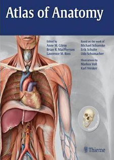 عکس Atlas of Anatomy 4th Edition 2020