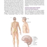 Neuroanatomy Text and Atlas, Fifth Edition 5th Edition