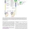 Neuroanatomy Text and Atlas, Fifth Edition 5th Edition