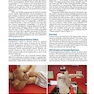 Disorders of the Shoulder: Sports Injuries -Vol2- 3E 2013