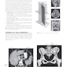 Sectional Anatomy for Imaging Professionals 4th Edition2018