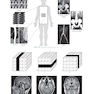 Sectional Anatomy for Imaging Professionals 4th Edition2018
