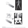 Sectional Anatomy for Imaging Professionals 4th Edition2018