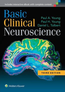 عکس Basic Clinical Neuroscience Third Edition2015 علوم اعصاب بالینی پایه