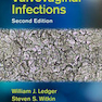 Vulvovaginal Infections 2nd Edition2016 عفونت های ولووواژینال