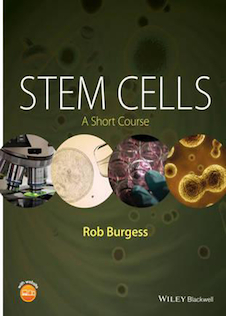 عکس Stem Cells: A Short Course 1st Edition2016