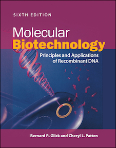 عکس Molecular Biotechnology, 5th Edition 2022
