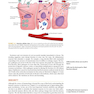 Sherris Medical Microbiology 7th-Edition 2018