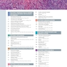 Diagnostic Pathology: Normal Histology 2nd Edition 2018