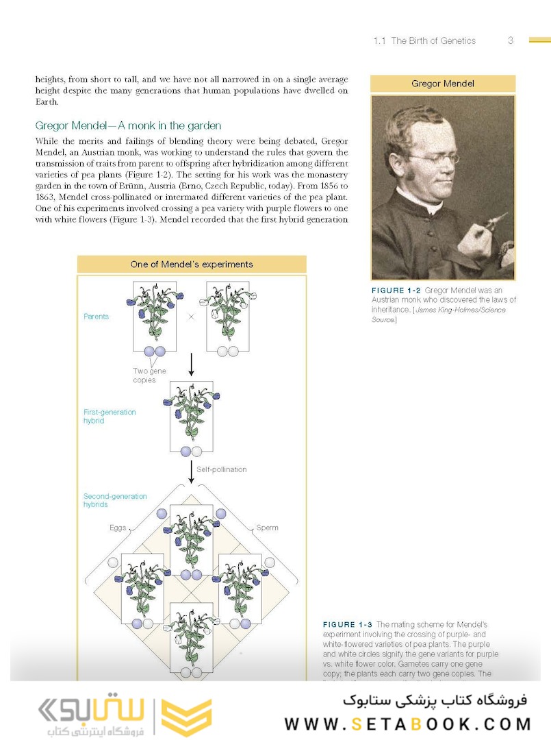 An Introduction to Genetic Analysis, 11th Edition2015