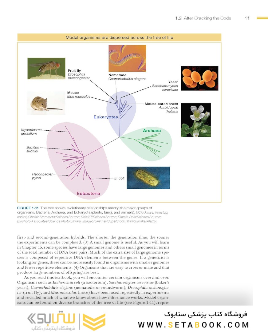 An Introduction to Genetic Analysis, 11th Edition2015