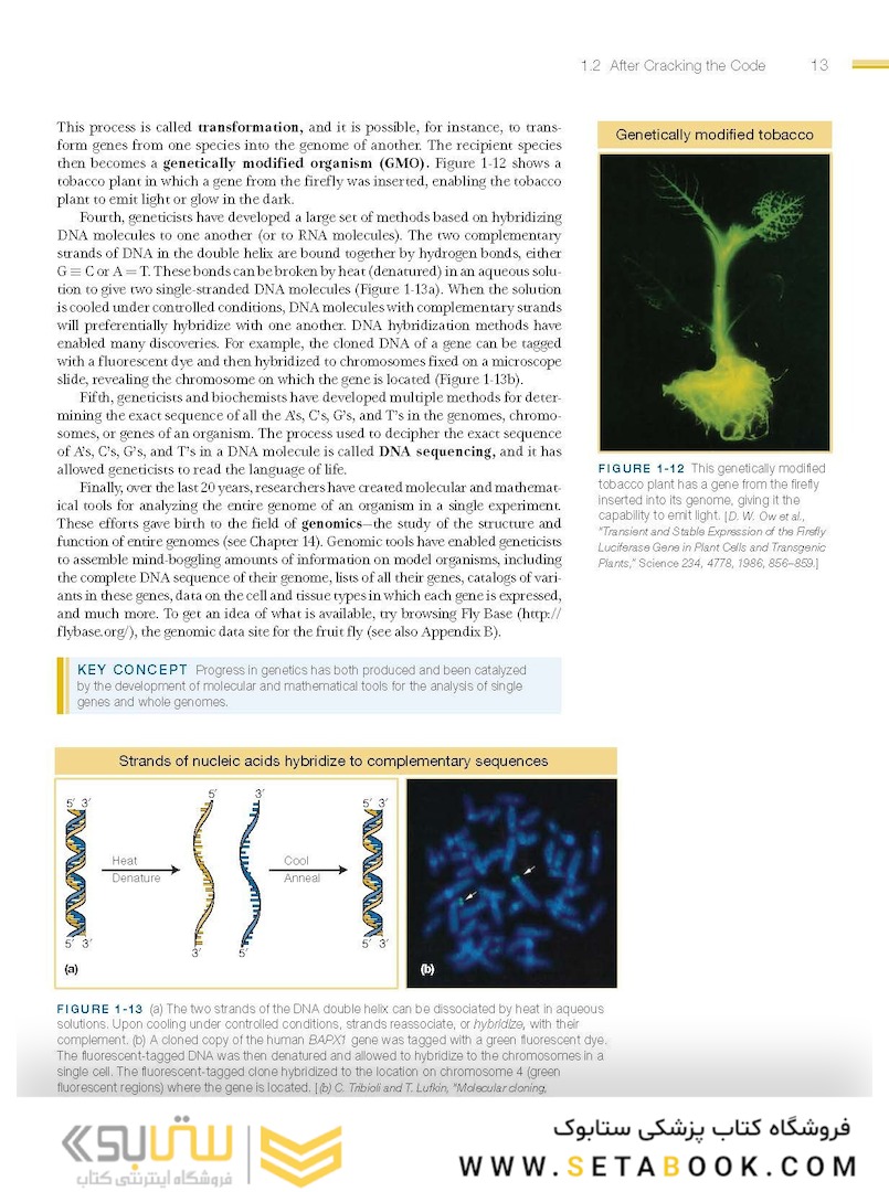 An Introduction to Genetic Analysis, 11th Edition2015