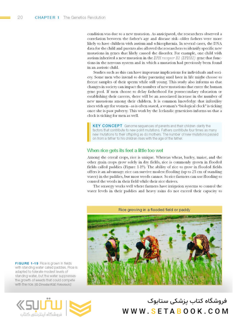 An Introduction to Genetic Analysis, 11th Edition2015