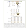 Fundamental Molecular Biology, 1st Edition2007