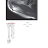 Pocket Atlas of Sectional Anatomy, Volume III, 2nd Edition 2017
