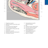 Pocket Atlas of Sectional Anatomy, Volume III, 2nd Edition 2017