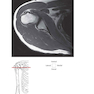 Pocket Atlas of Sectional Anatomy, Volume III, 2nd Edition 2017