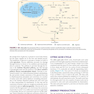 Ganong’s Review of Medical Physiology, Twenty, 26th Edition 2019