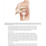 Breast Augmentation Video Atlas, 2nd Edition 2019