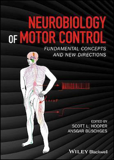 عکس Neurobiology of Motor Control, 1st Edition2017 نوروبیولوژی کنترل حرکتی
