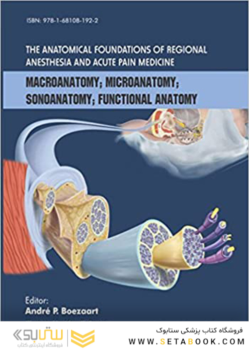Anatomical Foundations of Regional Anesthesia and Acute Pain Medicine2018