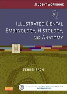 عکس Illustrated Dental Embryology, Histology, and Anatomy 4th Edition2015 جنین شناسی ، بافت شناسی و آناتومی مصنوعی