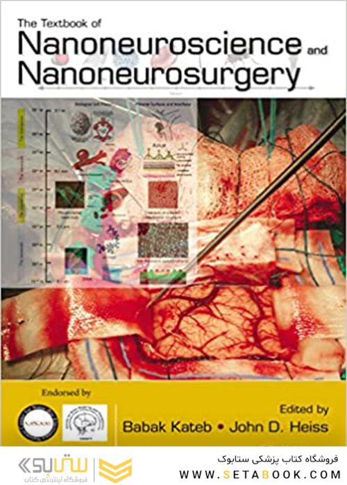 The Textbook of Nanoneuroscience and Nanoneurosurgery 1st Edition 2013