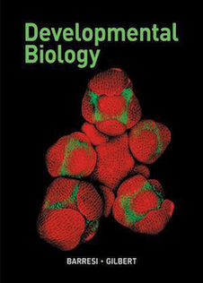 عکس Developmental Biology, 12th Edition2019