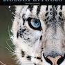 Biology in Focus AP Edition2015 زیست شناسی در Focus AP