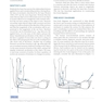 Basic Biomechanics of the Musculoskeletal System, Fourth Edition 2012