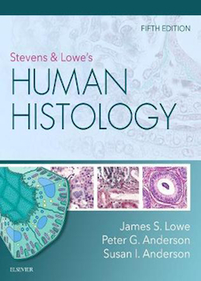 عکس Stevens - Lowe’s Human Histology, 5th Edition2019 هیستولوژی انسانی استیونز و لوو