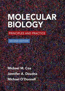 عکس Molecular Biology: Principles and Practice, Second Edition2016 زیست شناسی مولکولی: اصول و عمل